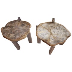 Pair of Petrified Wood Side Tables