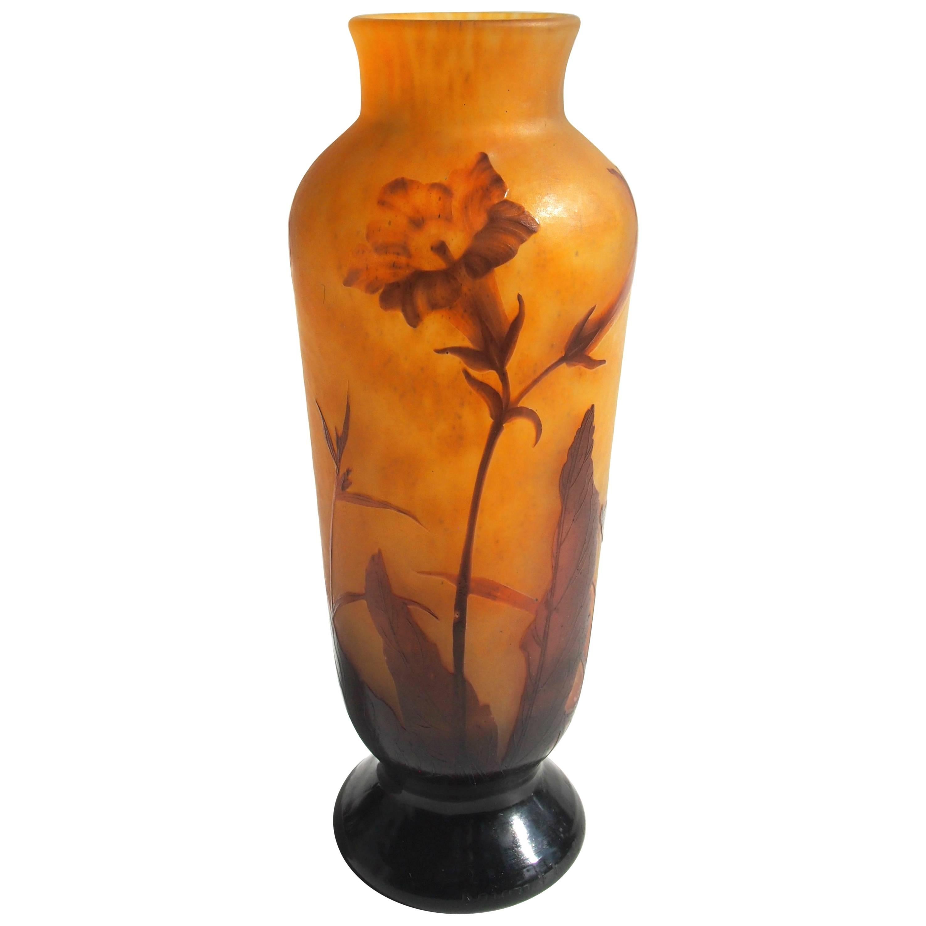 French Art Nouveau Daum Cameo and Carved Glass Nicotiana Vase For Sale