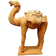 Superbe camel debout modelé naturaliste, dynastie Tang  Testé par Oxford TL