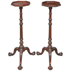 Antique Pair of Signed English Fern Stands