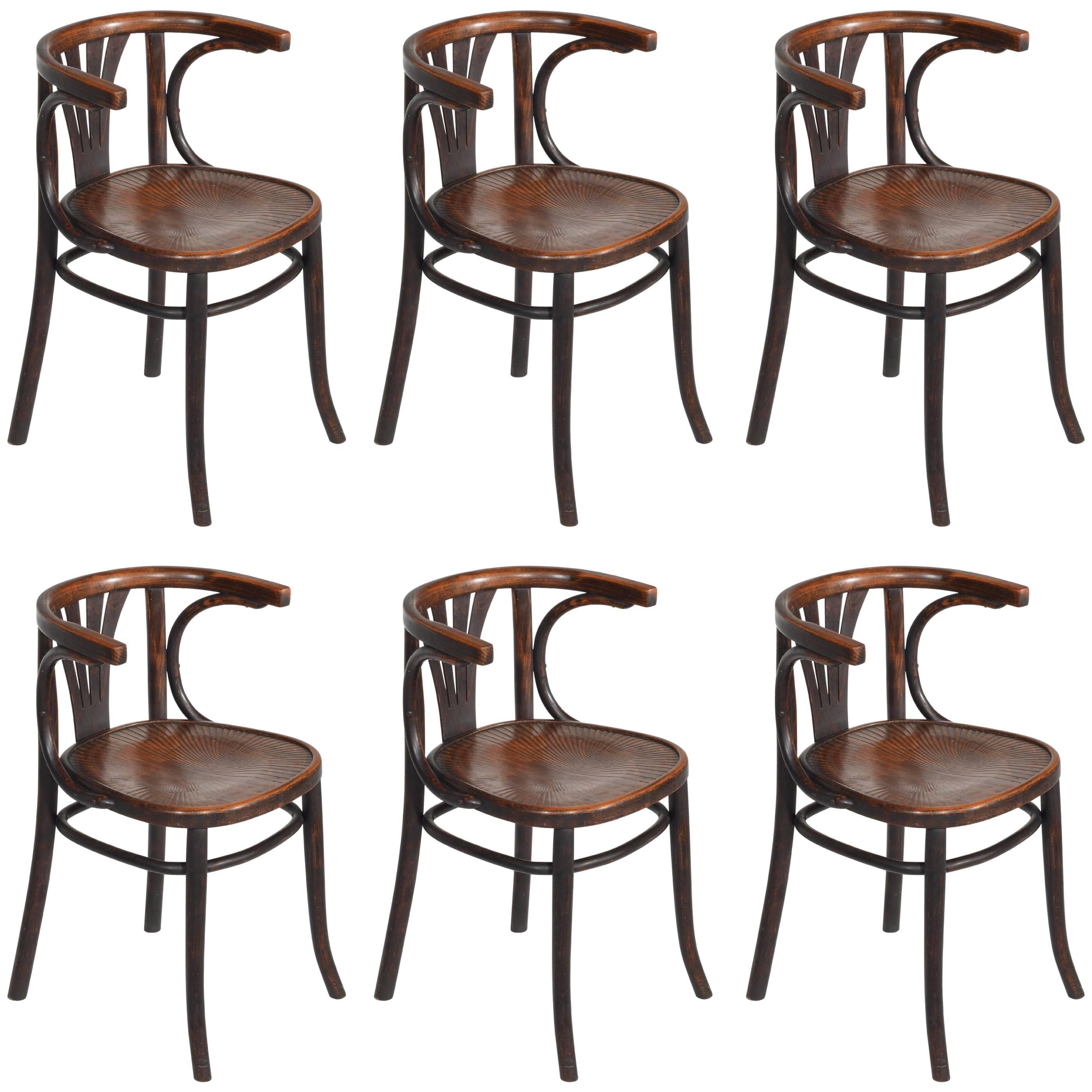 Set of Six Turn of the Century Thonet Bentwood Chairs