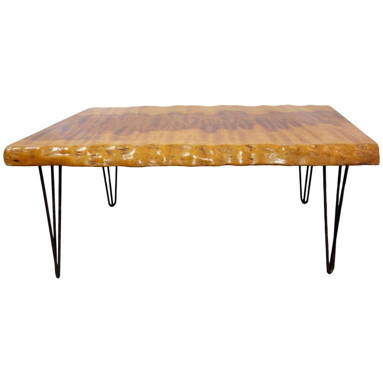 Live Edge Burl Root Table On Steel Hairpin Legs For At 1stdibs Midcentury Live Edge Burl Coffee Table With Hairpin Legs