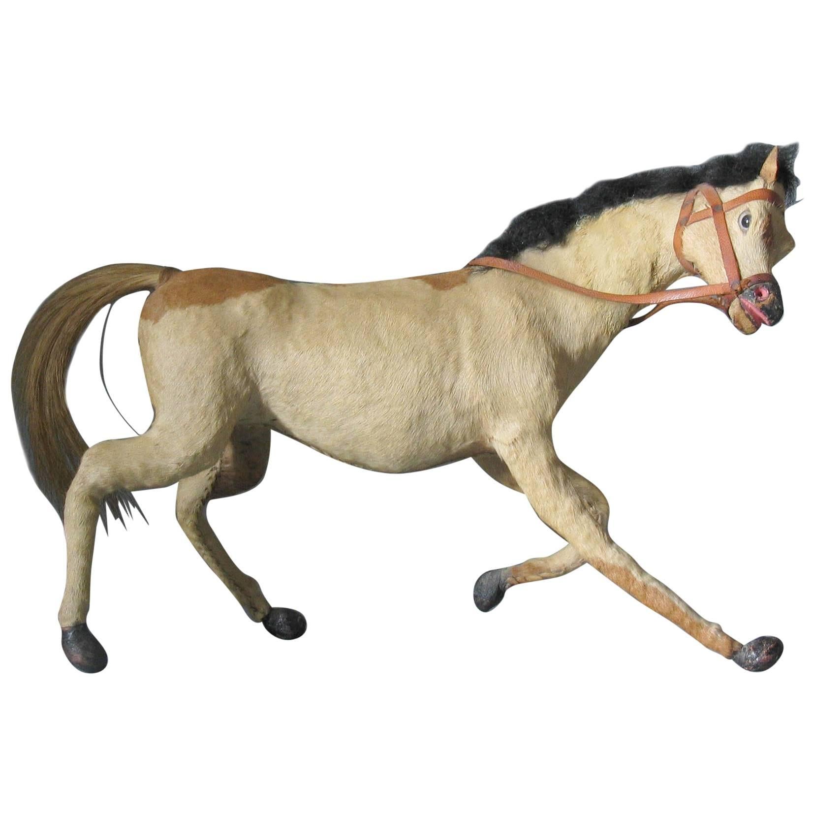 Victorian Taxidermy Toy Horse, Late 19th Century