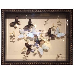 Magnificent Handmade Collection of Butterflies in Shadow Box