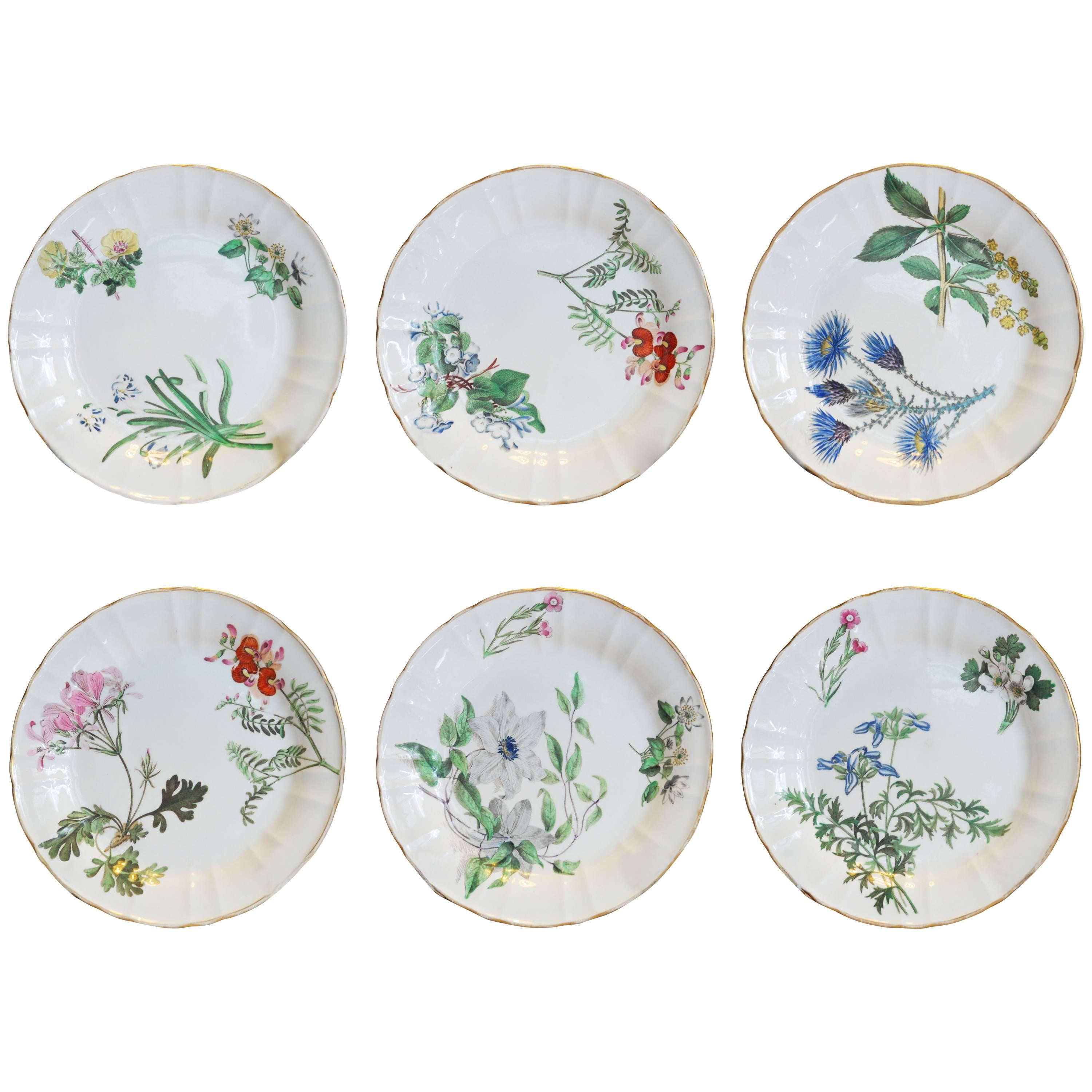 Set of Six Botanical Dessert Plates, First Period Bone China, circa 1815