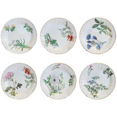 Antique Set of Six Botanical Dessert Plates, First Period Bone China, circa 1815