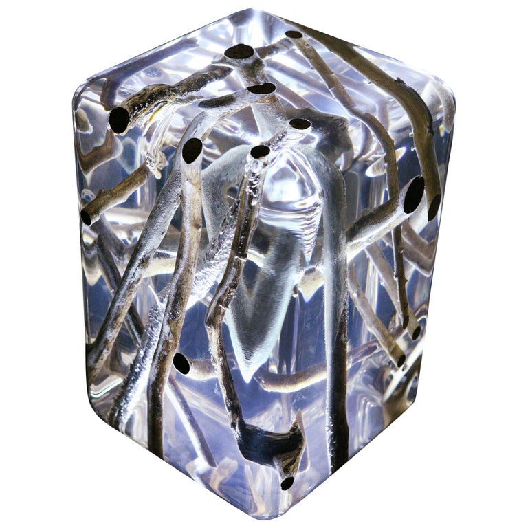 Kisimi Clear Branches C Side Table with Acrylic Glass and Driftwood For