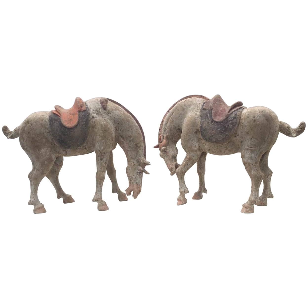 Pair of Tang Dynasty Horses For Sale
