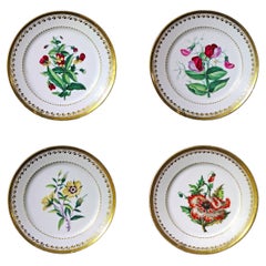 Antique Paris Porcelain Botanical Set of Plates, Flamen-Fleury