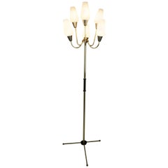 Brass and Opaline Glass 1950s Design Tripod Floor Lamp