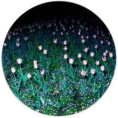Modern Set of Two Porcelain Plates in Blue and Black by Charles Petit