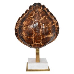Mid-Century Modern Turtle Tortoise Shell and Brass Table Lamp Mounted on Marble