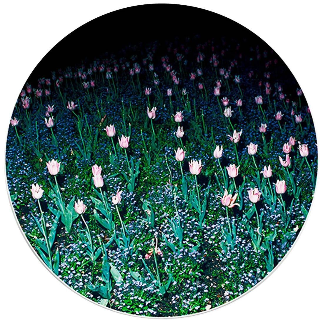 Dinner Porcelain Plate Collection Rue de Paradis Model " Tulips" For Sale