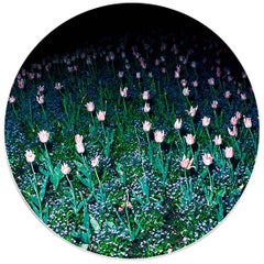Dinner Porcelain Plate Collection Rue de Paradis Model " Tulips"