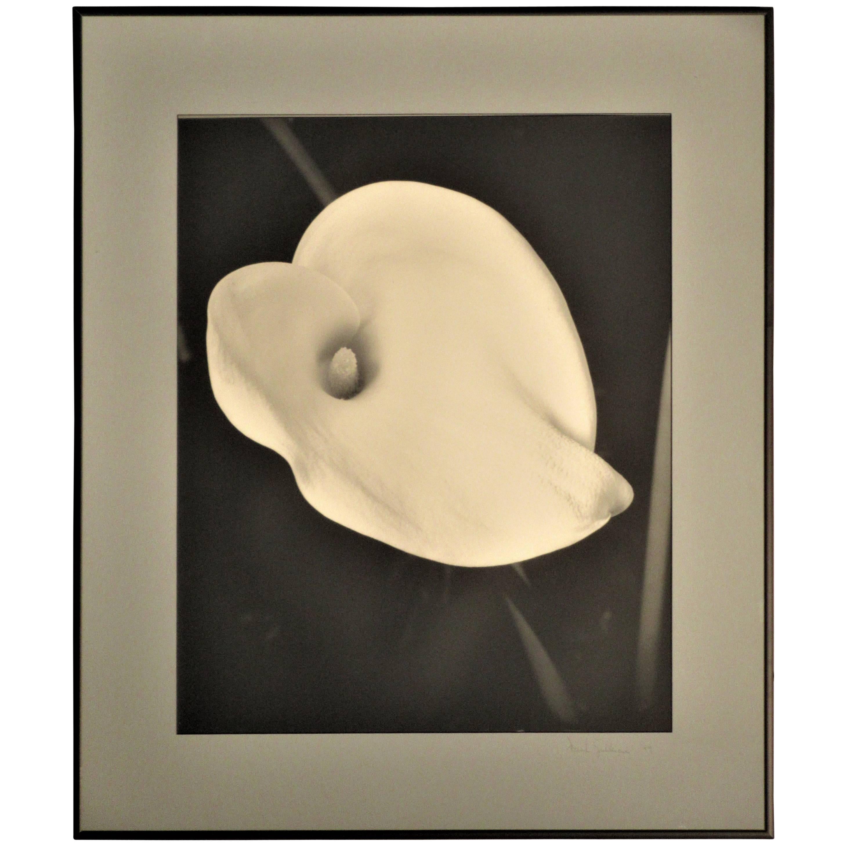 Flower Photograph in the Style of Edward Steichen For Sale