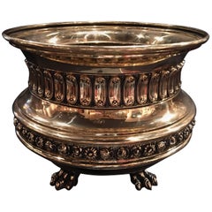 French Polished Brass Jardinière or Planter, 19th Century