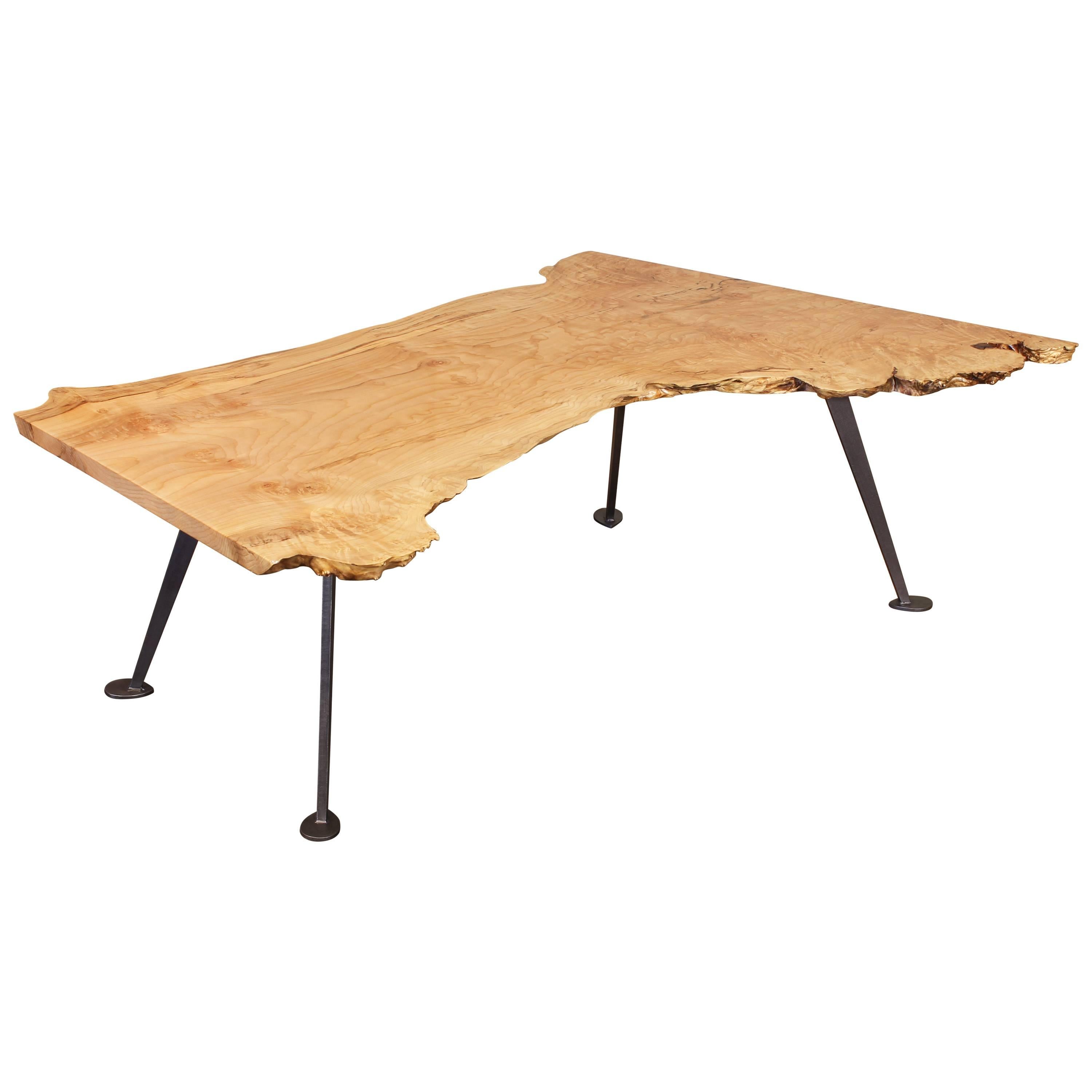 Coffee Table Free-Form Live Edge Maple Burl with Steel Legs
