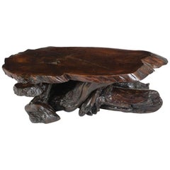 Organic Tree Root Coffee Table