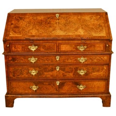 18th Century Burr Walnut Bureau