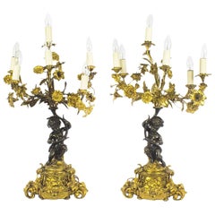 Antique Pair of French Ormolu and Patinated Bronze Table Lamps, 19th Century