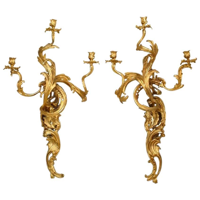 4 French Louis XV Style Gilt Monumental Wall Sconces