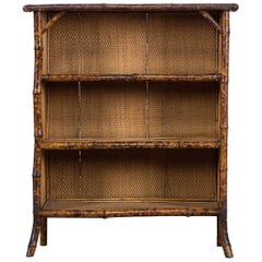 Antique English Faux Bamboo Display Cabinet or Bookcase, circa 1875