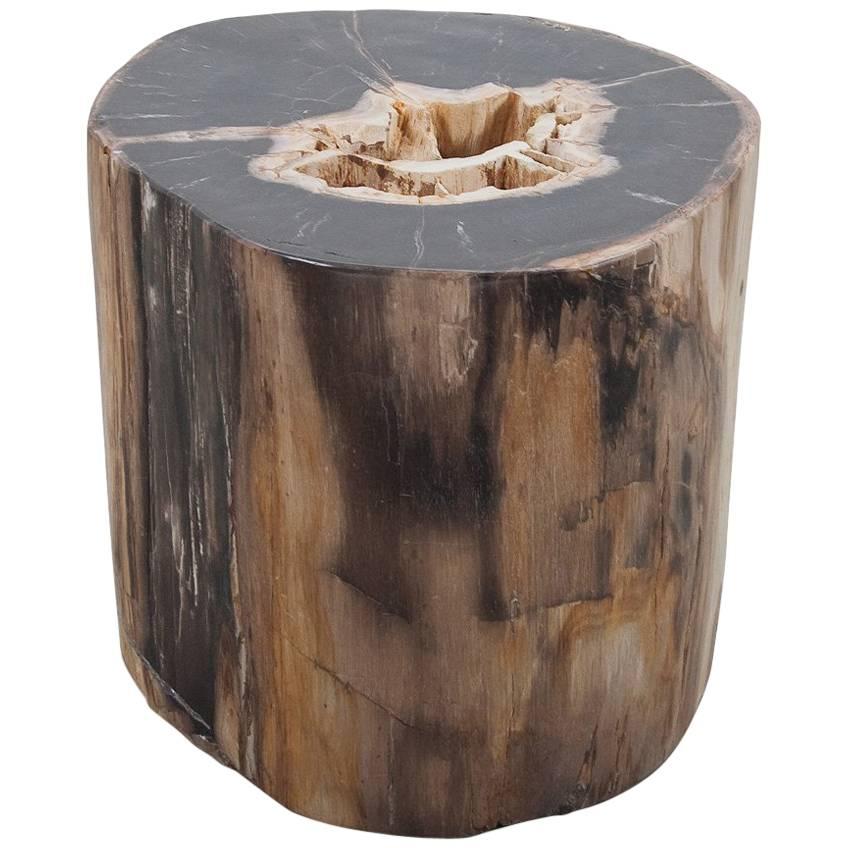 Large Petrified Wood Polished Side Table, Stool or Pedestal, Organic Modern