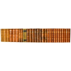 Meter of Early 20th Century Leather Bound Books, Series 101