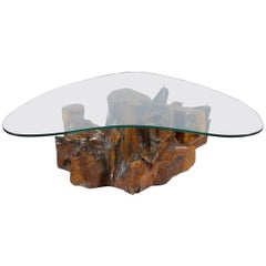 Midcentury Italian Solid Burl-Root Tree Coffee Table Boomerang Shaped Glass Top