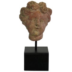 Small French 19th Century Terracotta Head