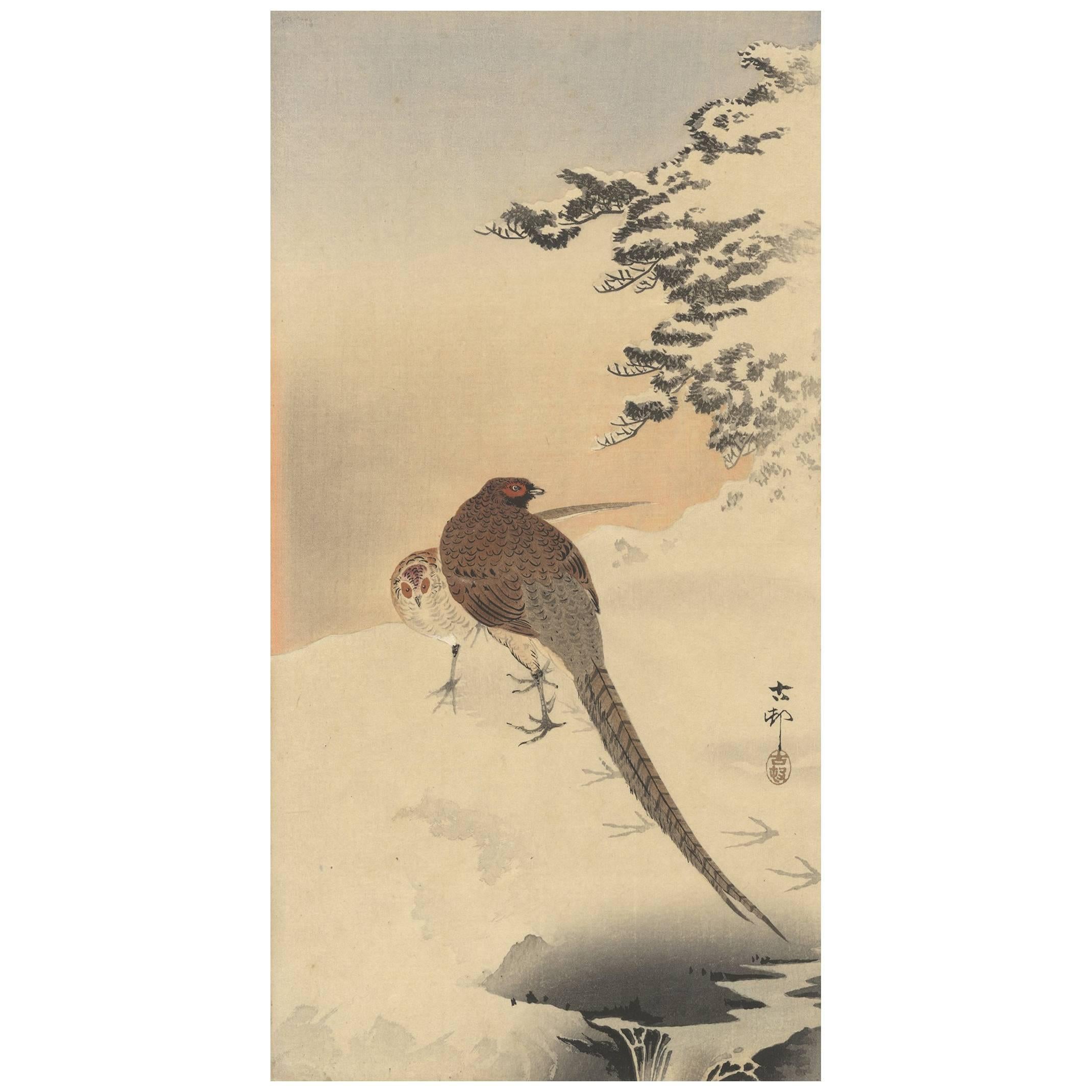 Koson Ohara, Couple of Pheasants, Nature, Snow, Pine, Japanese Woodblock Print For Sale