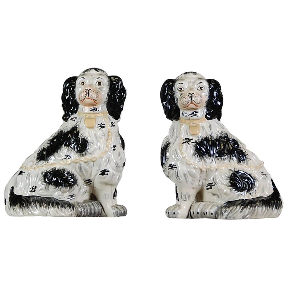 A rare, large pair of 19th century Staffordshire dogs. King Charles Spaniels, gold collars and black and white coats. Delicate, expressive and detailed paintwork. This pair are the rarer model with the two front legs separated, a more intricate