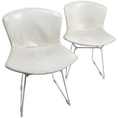 Pair of Bertoia for Knoll Dining Chairs