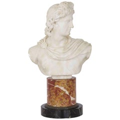 19th Century Grand Tour Italian Marble Bust of Apollo Belvedere