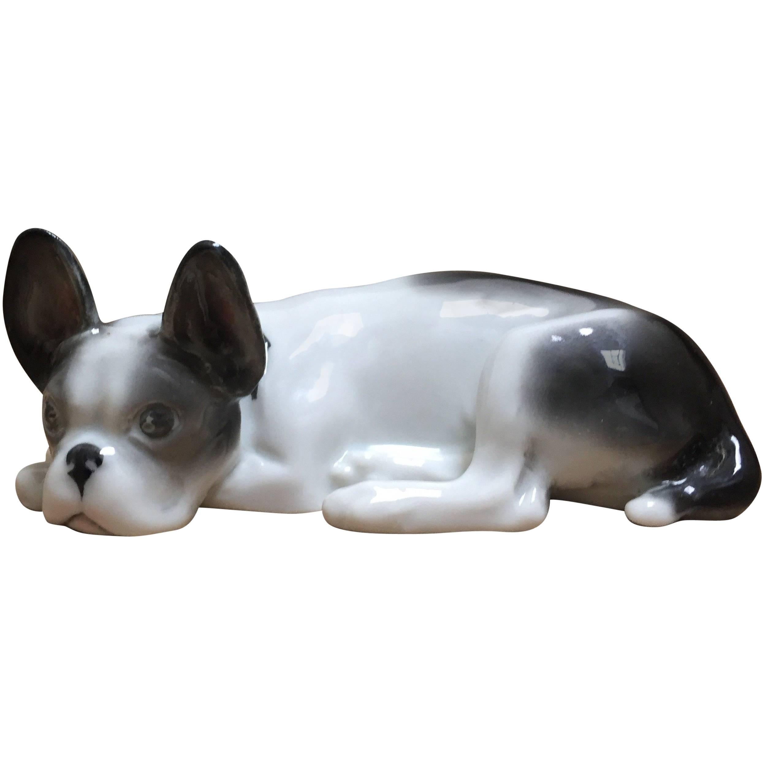 Porcelain lying French Bulldog Puppy, Pfeffer Gotha Germany, 1934-1942