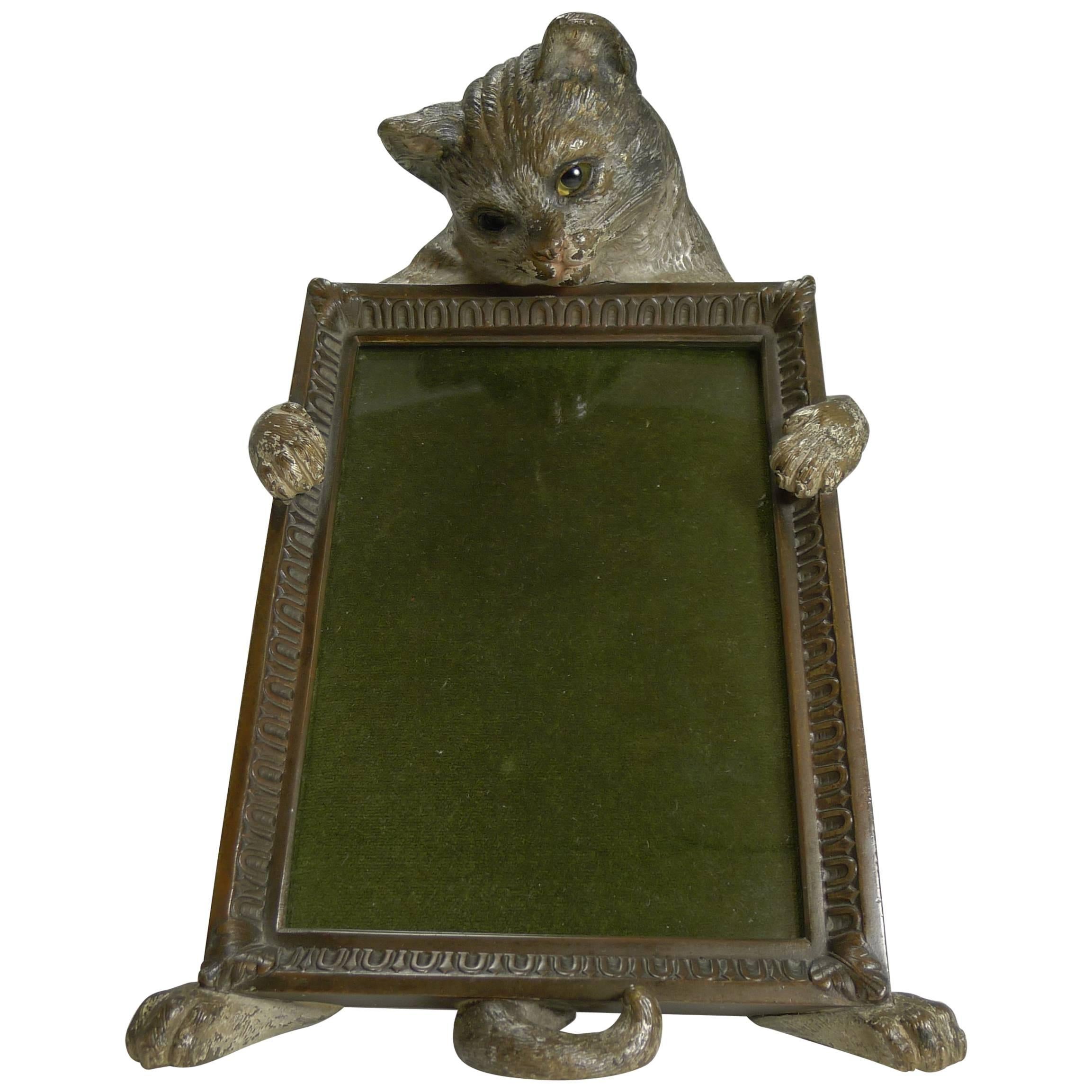 Very Rare Cold Painted Bronze Novelty Photograph Frame, Cat with Glass Eyes