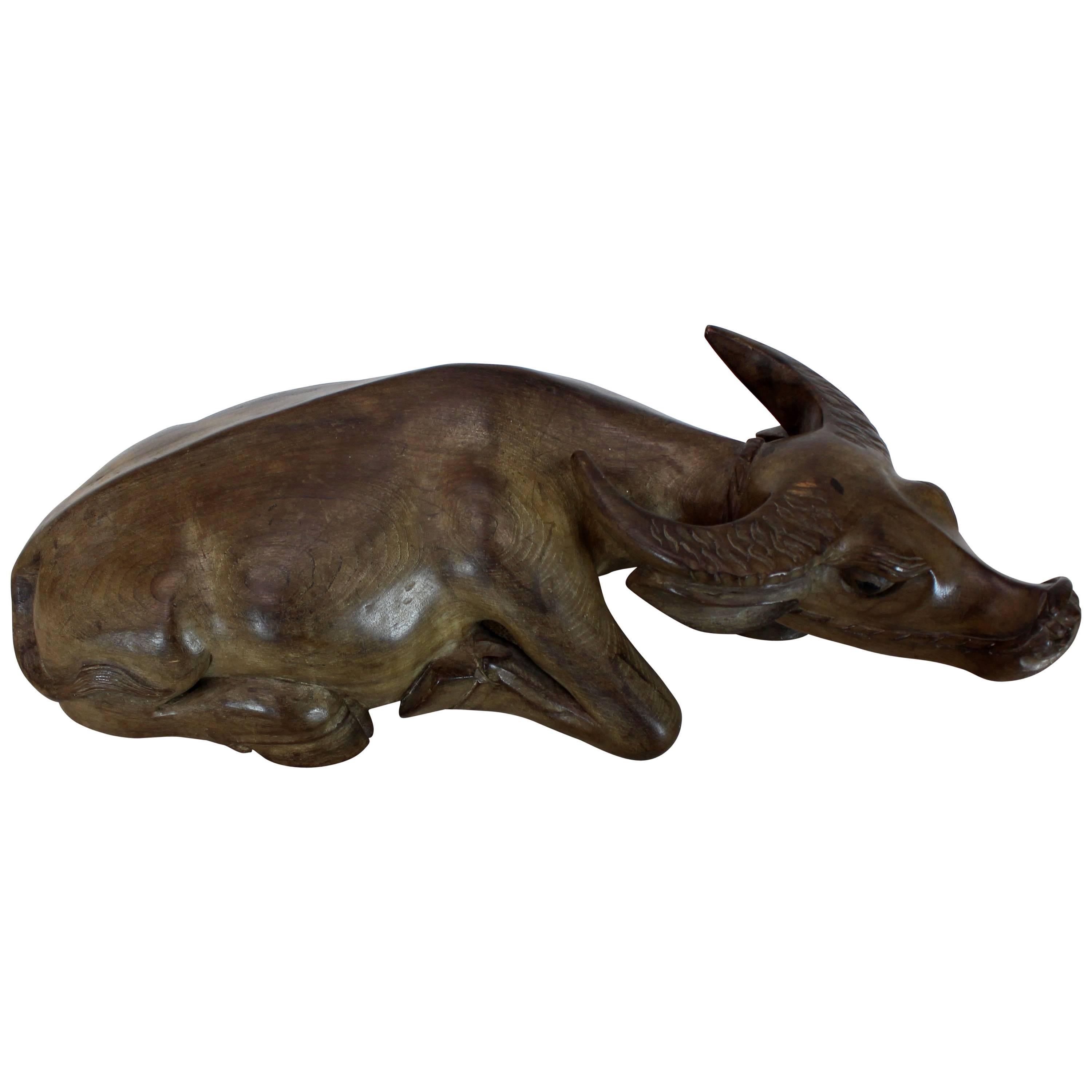 Large Carved Wood Sculpture of a Water Buffalo For Sale