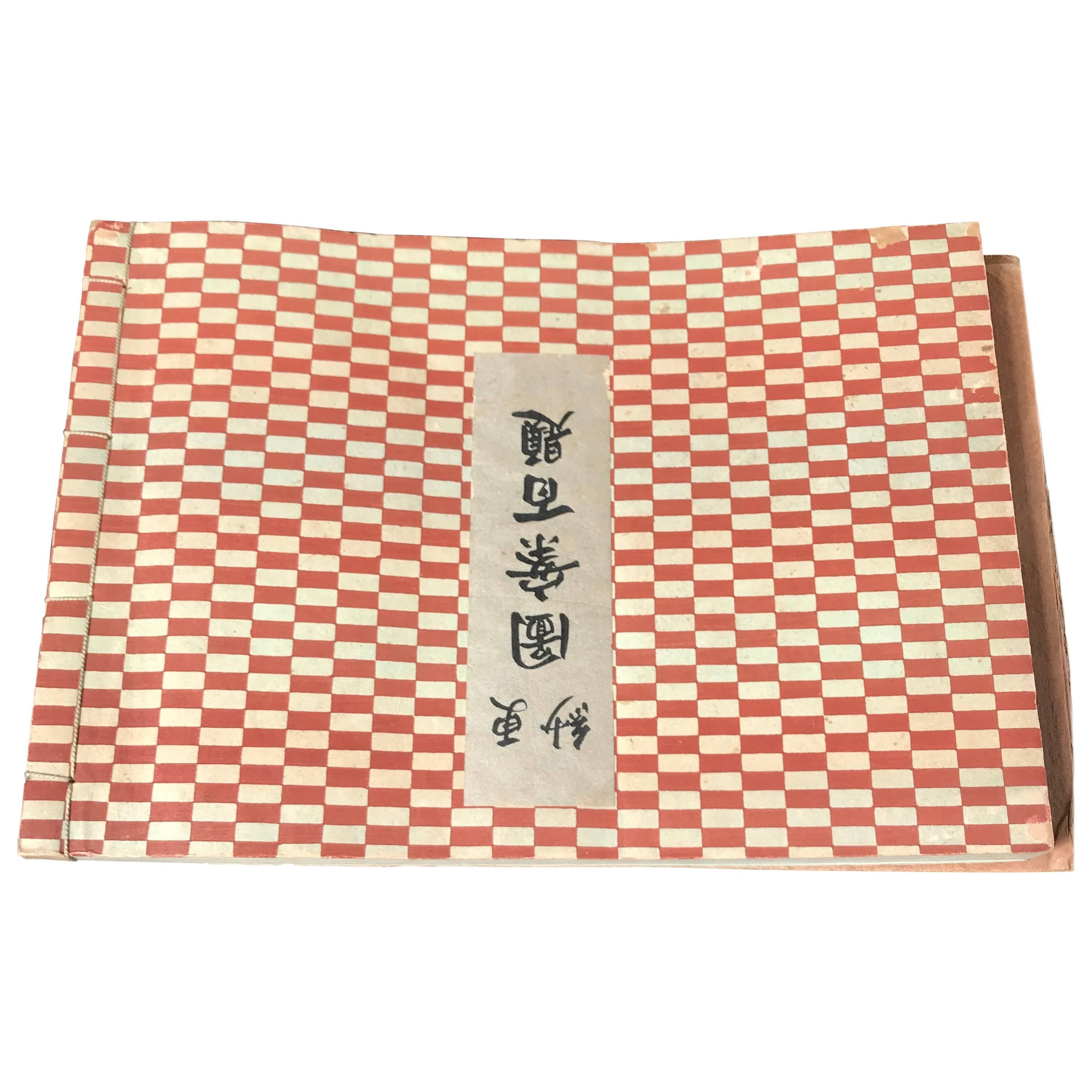 Taisho Japan 35 Old Vibrant Color Exotic Woodblock Prints Album Mint &  Frameable