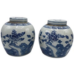 19th Century Blue and White Ginger Jar with Floral Motif, Pair