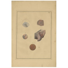 Antiker medizinischer Druck von Lungen 'Tab.3' von F.D. Reisseisen, 1822