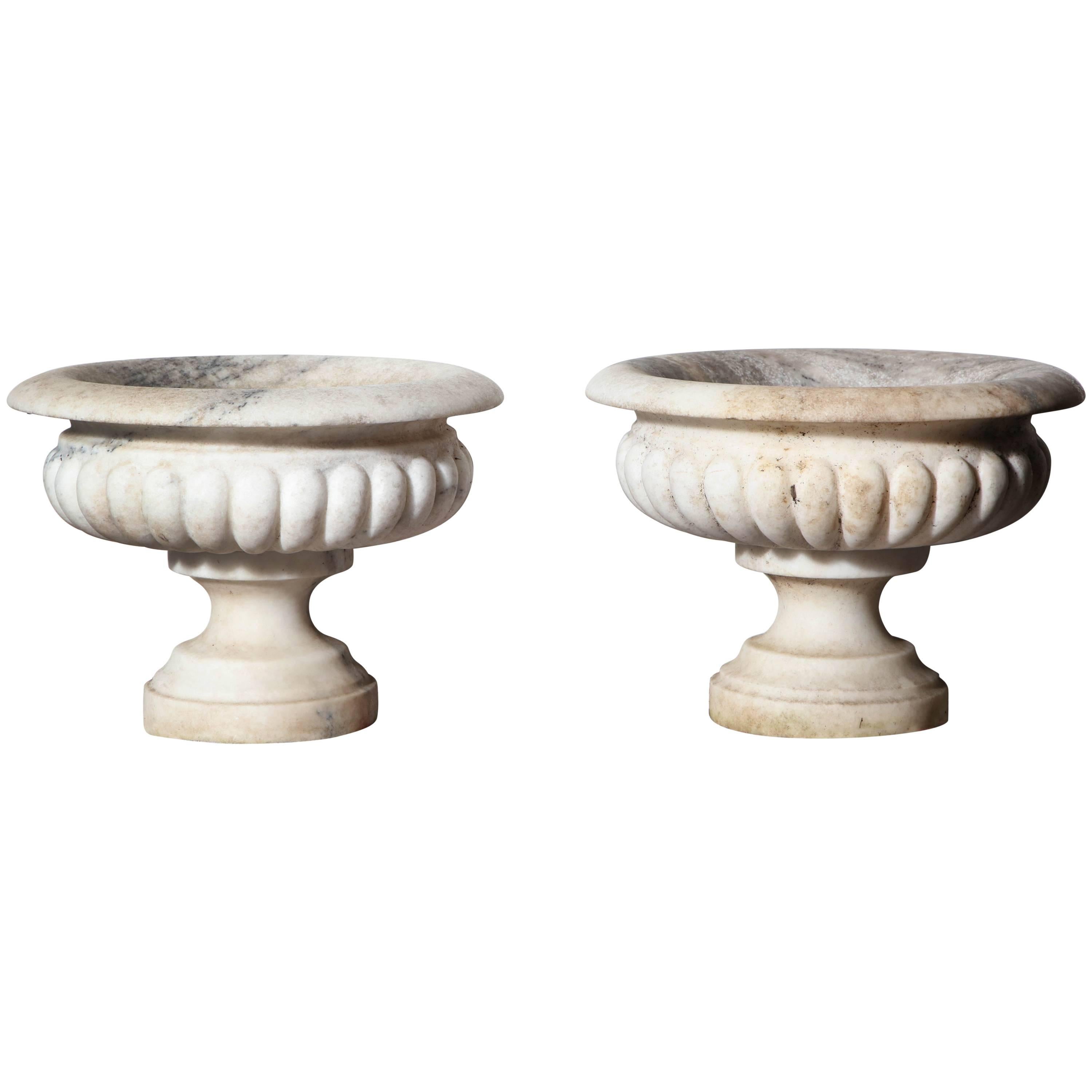 Pair of Italian Neoclassic Tazza's