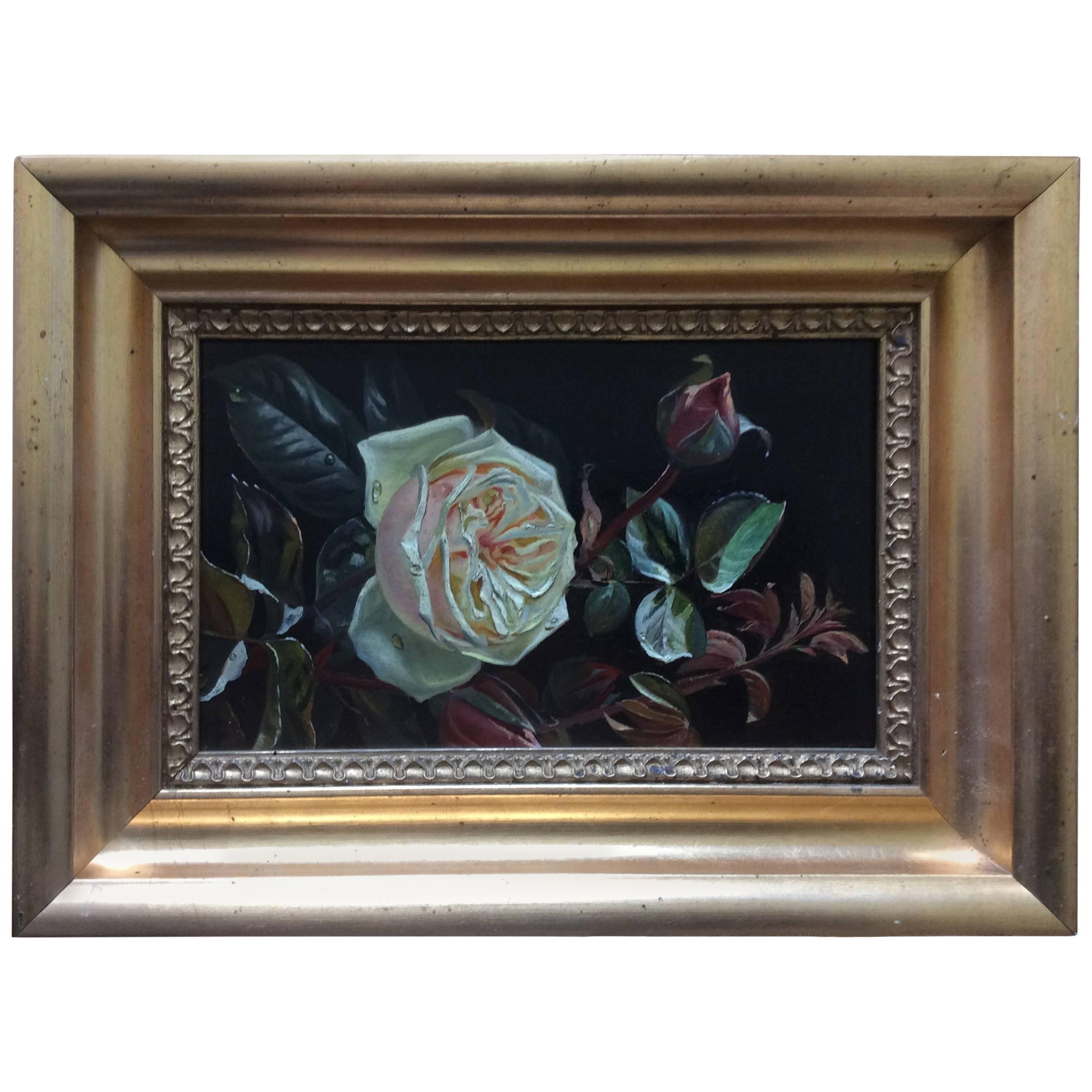 "Flowers a Pink and Cream Rose with Raindrops" Painting by Sophus Petersen For Sale