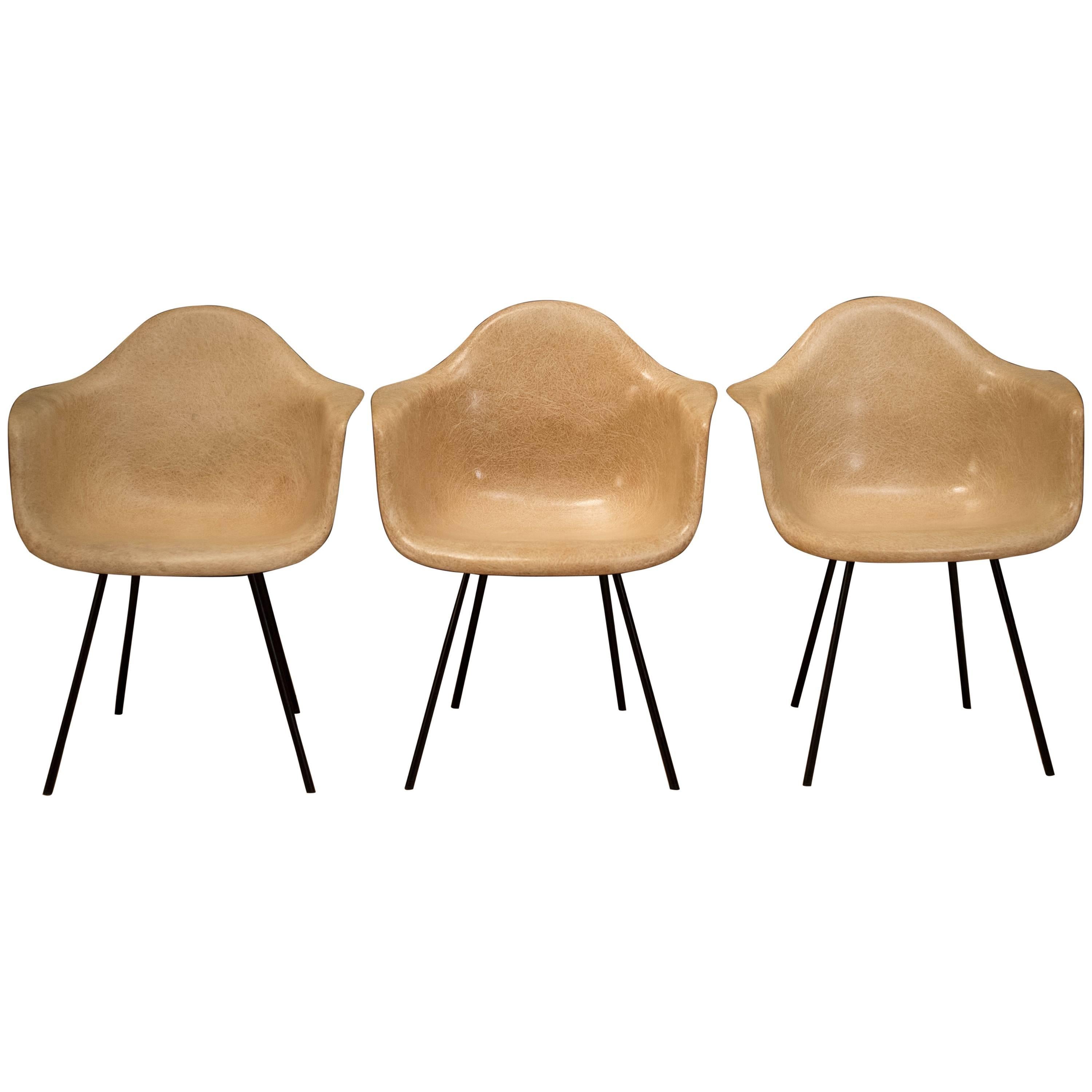 Early Herman Miller Fiberglass Eames Shell Armchair by Zenith