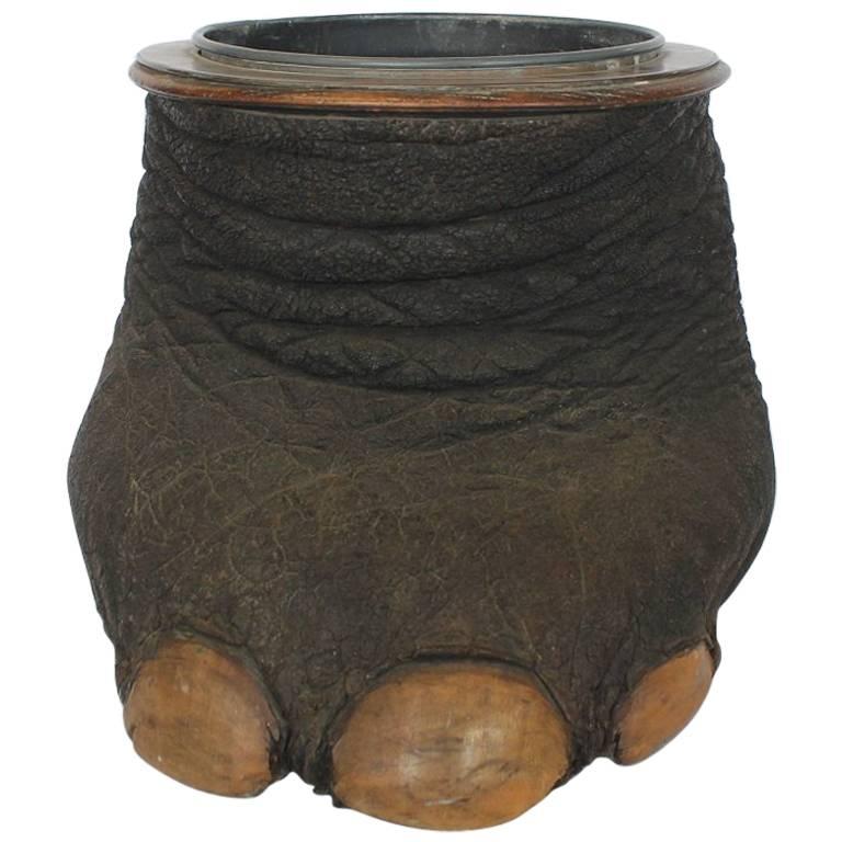 Antique Taxidermy Elephant Foot Stool/Waste Basket