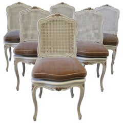 Antique Six Early 20th Century Painted French Louis XV Style Cane Back Dining Chairs