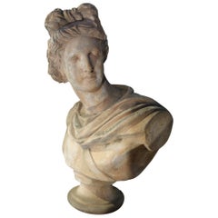 19th Century Renaissance Style Old Impruneta Terracotta Diana Bust from Florence