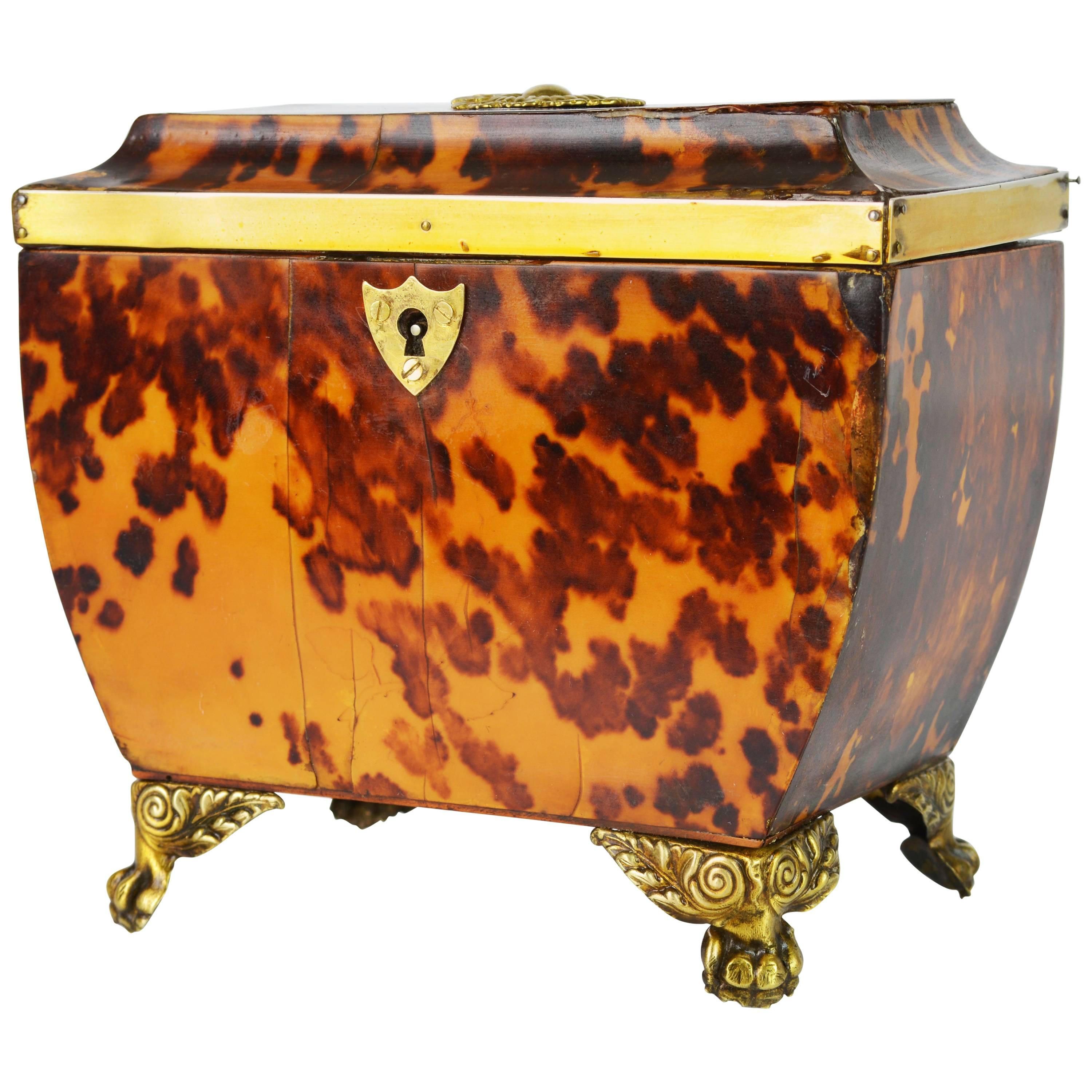 Lovely English Regency Tortoiseshell Footed Tea Caddy with Intach Interior