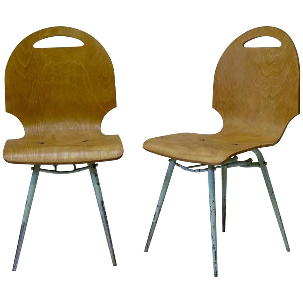 Set of Four French Midcentury Molded Plywood Chairs For Sale