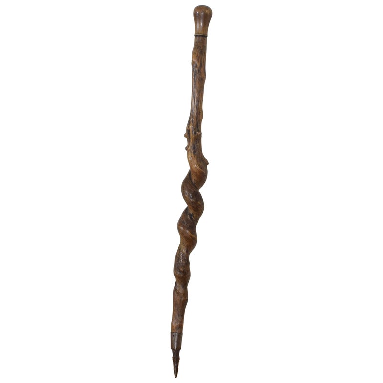 French Walking Stick or Poker, Late 19thEarly 20th Century at 1stDibs