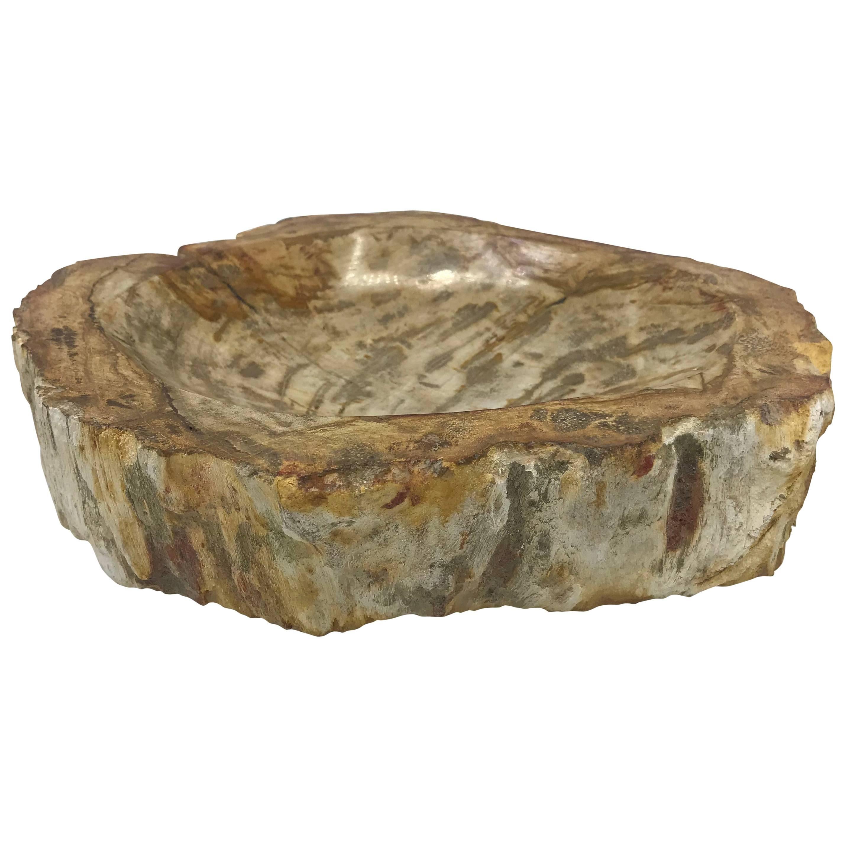 Petrified Wood Catchall Dish with Raw Edging For Sale